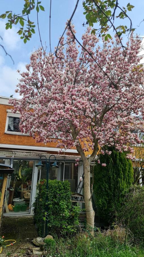 Mit Optimaler Verkehrsanbindung Und Vielen Extras In Berlin-rudow Alloggio in famiglia